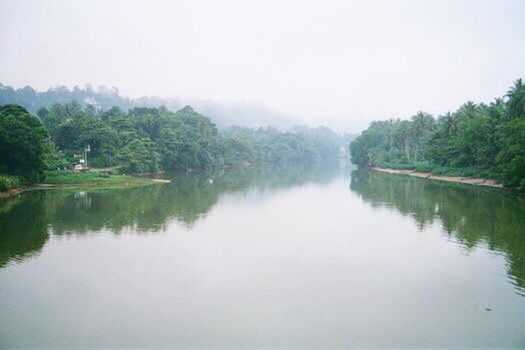 tree, water, tranquil scene, scenics, tranquility, waterfront, beauty in nature, reflection, nature, clear sky, non-urban scene, calm, growth, day, remote, sky, majestic, green color, solitude, no people, green, riverbank, surrounding, countryside