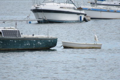 Sailboats moored on sea