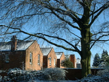 Bare trees and houses against sky during winter