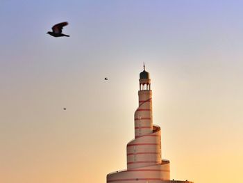 Seagulls flying over mosque