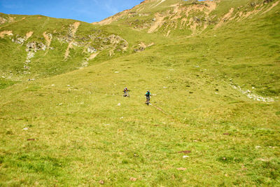 People riding bicycles on mountain