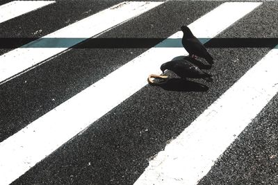 Low section of man on road