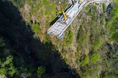 High angle view of trees and plants on land