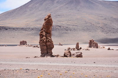 View of giraffe on rock formations in desert