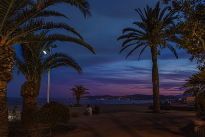 Silhouette palm trees on beach against sky during sunset