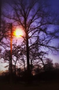 Bare trees against sky at sunset