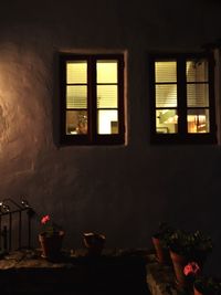 Flowers in window