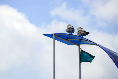 Two seagulls are sitting on roof of rescue tower and looking to side.