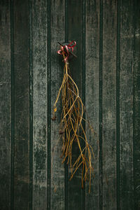 Close-up of dry tied hanging on wood