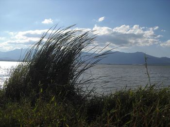 Scenic view of river against cloudy sky