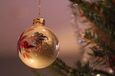 Close-up of illuminated christmas tree