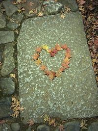 Close-up of heart shape on tree during autumn