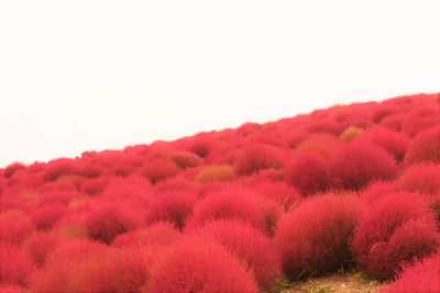 Scenic view of mountains against clear sky