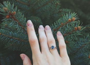 Cropped hand of woman touching plant