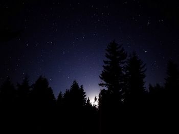 Low angle view of silhouette trees against sky at night