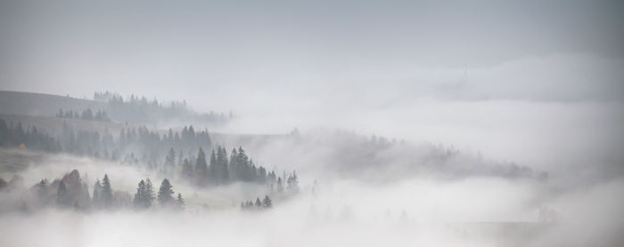 Panoramic view of landscape during foggy weather