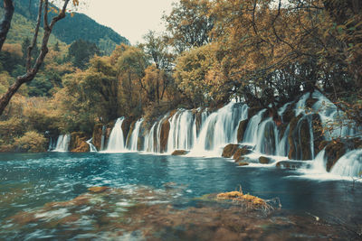 Scenic view of waterfall in forest