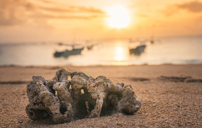 Close-up of sea shore against sunset sky