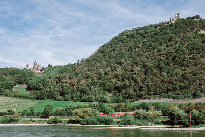 Scenic view of river by trees against sky