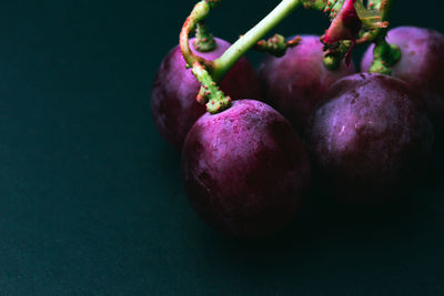 Close-up of fruit on table against black background