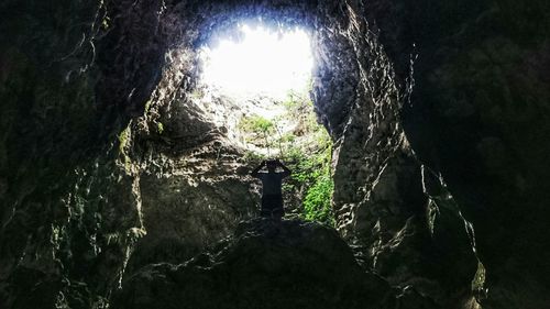 View of trees at night