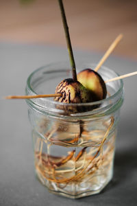 Close-up of drink on table