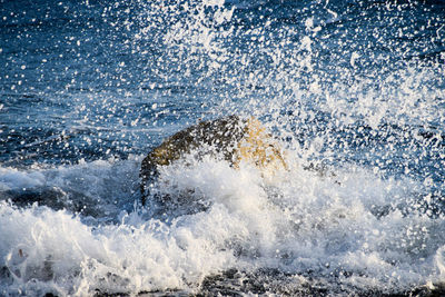 Water splashing in sea