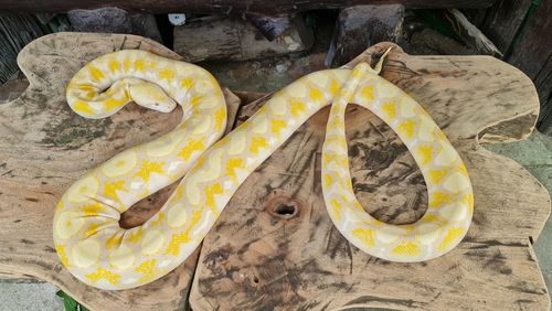 High angle view of bananas on table