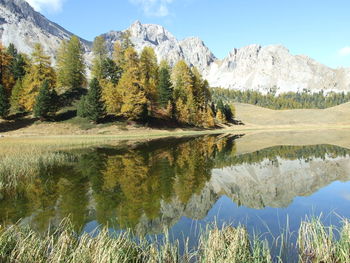 Scenic view of lake by trees against sky