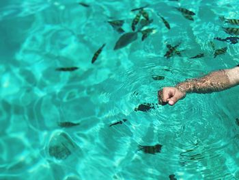 Cropped hand of person swimming in pool