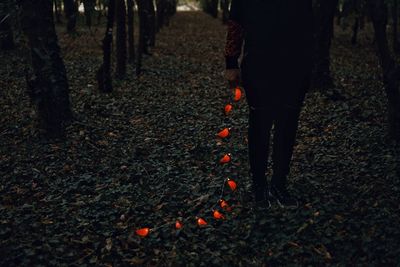 Low section of person with illuminated string lights while standing in forest 