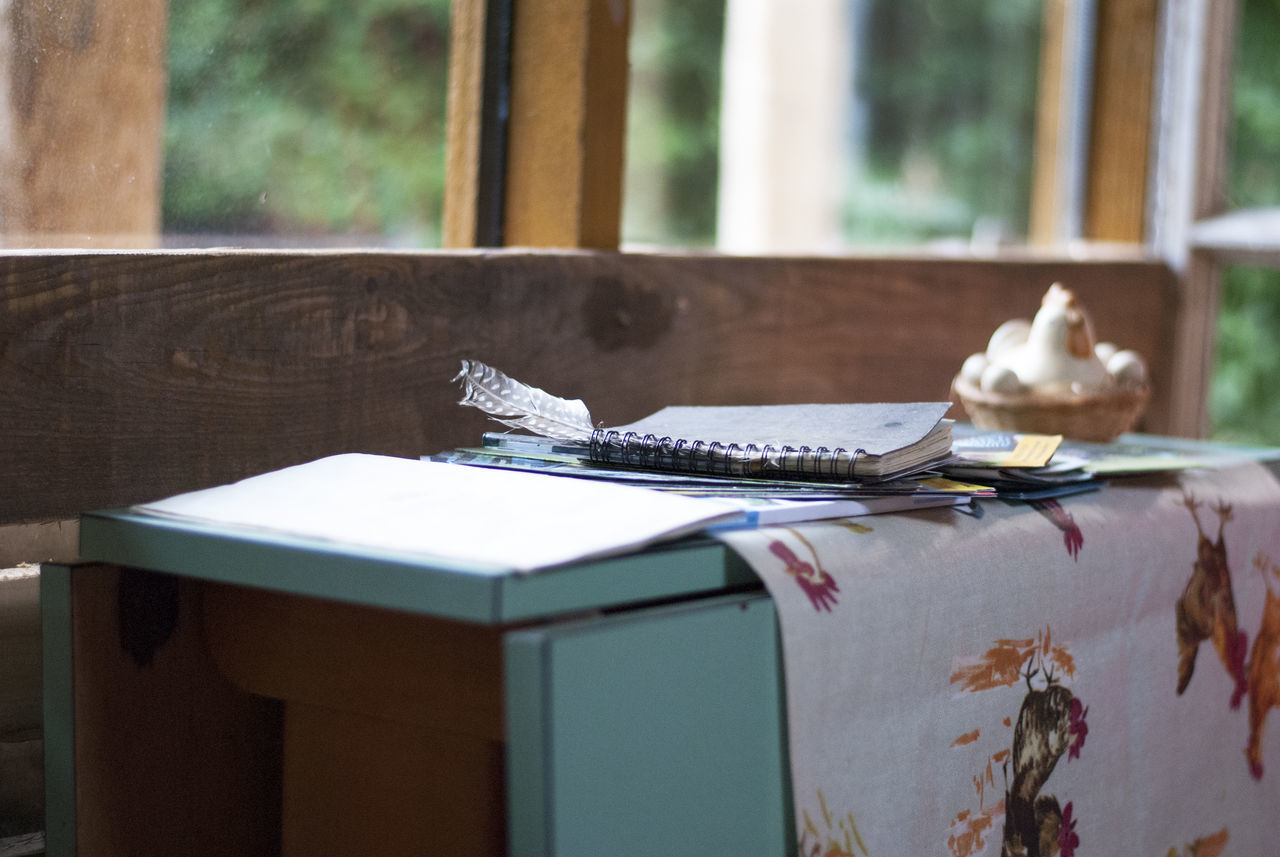 table, no people, day, indoors, window, focus on foreground, publication, still life, close-up, book, wood - material, paper, glass - material, nature, sunlight, furniture, animal, absence