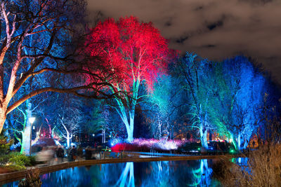 Illuminated trees by river against sky at night