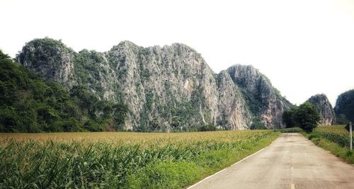 Panoramic shot of road amidst trees against clear sky