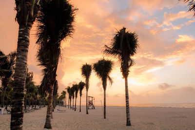 Palm trees on beach against sky during sunset