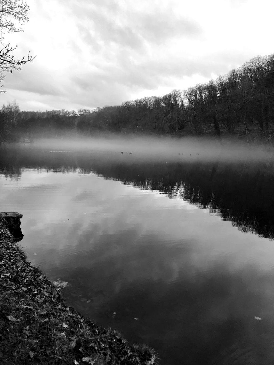 https://youtu.be/O86BYcAHuD4?si=_HWSINhPl2XC4vik “Alone, as I float like a stone, sinking to the bottom, lost but not forgotten…” 🎶🎵 Bnw_spring EyeEm Best Shots Bnw_life Eyem Black And White Bnw_collection Eyem4photography Personal Project IPhoneography Poetry In Pictures Poetry & Photography Language Eyem Best Shots Enjoying Life Walking Around Eyem Best Shots - Black + White Eyemphotography EyeEm Selects Bnw_summer Scenics - Nature Beauty In Nature Tranquil Scene