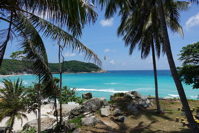 Palm trees on beach against sky