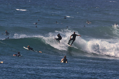 People enjoying in sea