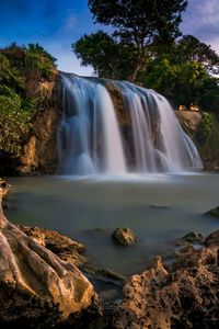 Scenic view of waterfall in forest