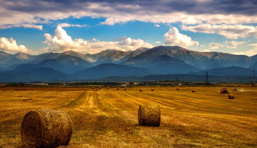Scenic view of field and mountains against sky