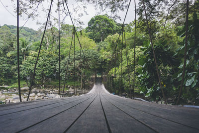 Footbridge amidst trees in forest