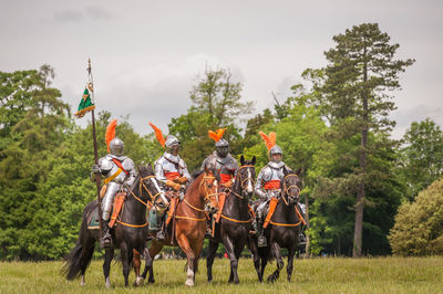 Horses on field against sky