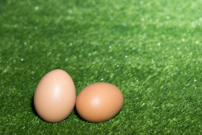 Close-up of eggs in grass