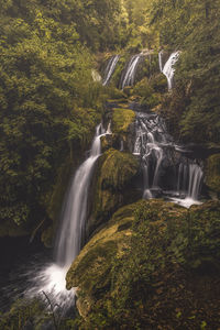 Waterfall in forest