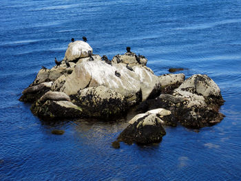 High angle view of rock formation on beach