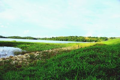 Scenic view of field against sky