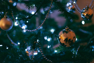 Close-up of christmas tree