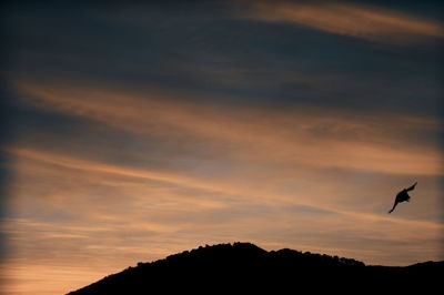 Silhouette of bird flying against sunset sky