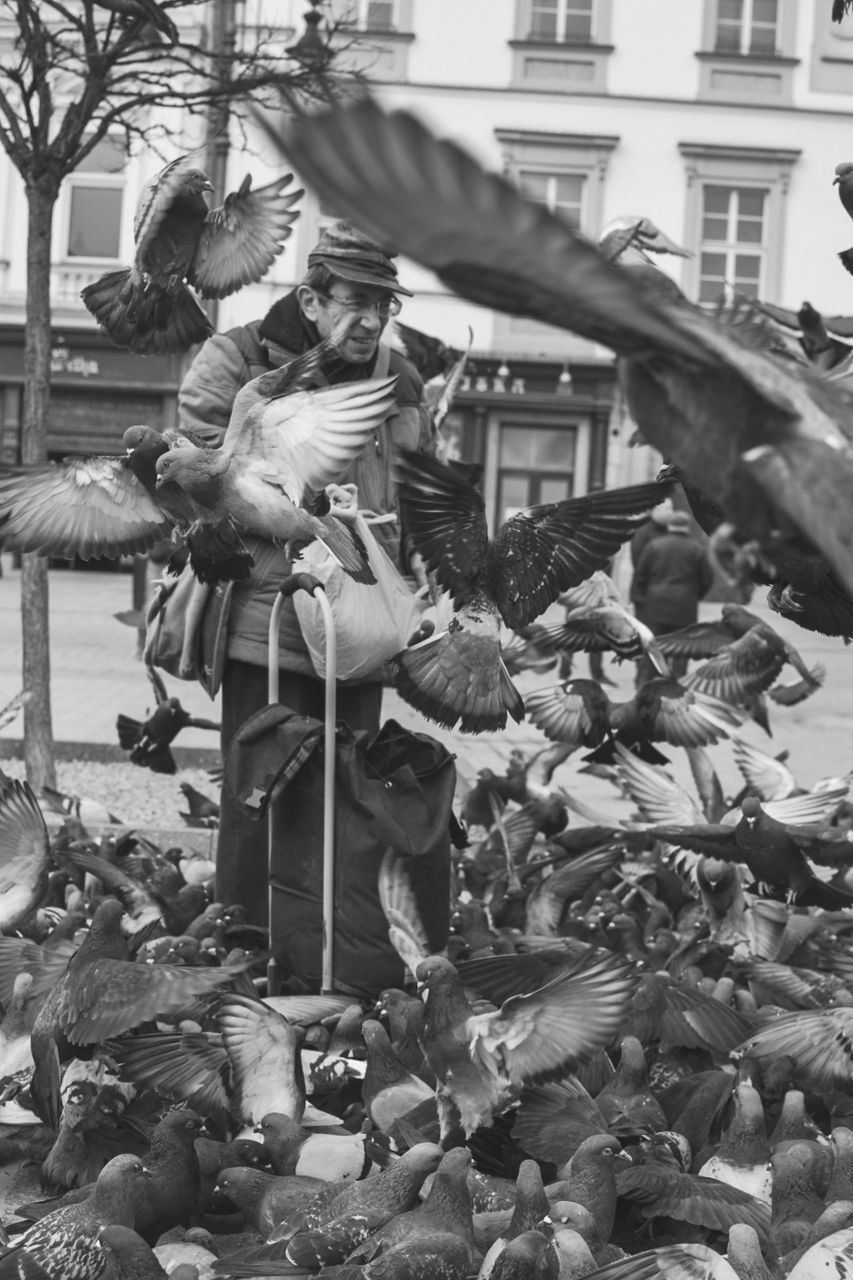 group of people, day, real people, people, architecture, building exterior, men, built structure, bird, crowd, outdoors, representation, nature, city, women, adult, lifestyles, costume, standing, flock of birds