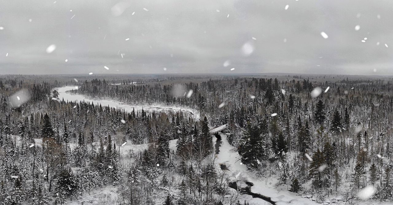 winter, cold temperature, snow, no people, nature, scenics - nature, snowing, beauty in nature, tree, motion, water, waterfall, outdoors, day, plant, environment, long exposure, frozen, flowing water